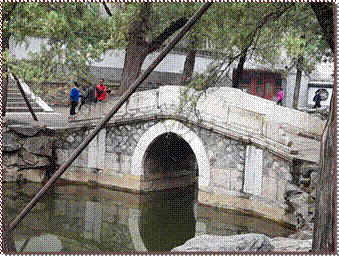 20180405_152906%20(Large)