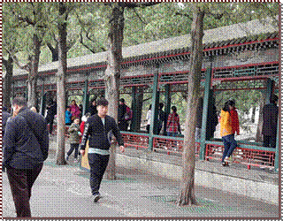 20180405_152603%20(Large)