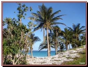 la plage