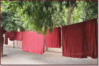 Les robes mises à sécher