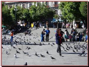 LA PAZ, place Murillo