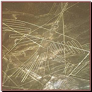 Lignes de NAZCA, le condor