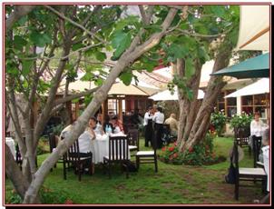 Repas en plein air