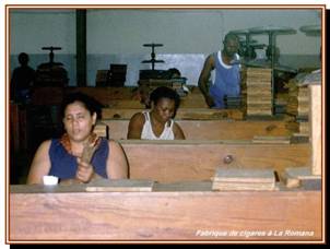 Usine de la Romana : fabrication de cigares