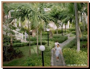 Les jardins tropicaux de l'htel