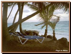 La plage et les transats de l'htel.
