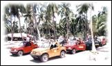 Les jeeps pour le safari dans la campagne.
