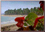 Playa Esmeralda