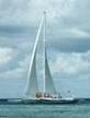 Un catamaran