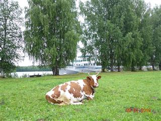 DSC09372 (Large)
