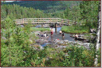 Les chutes de Storforsen