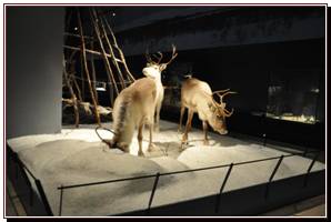 Expos du muse provincial