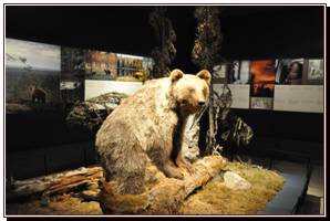 Expos du muse provincial