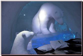 Les ours de glace.