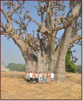Le groupe devant le baobab