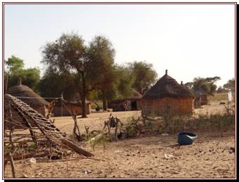 Huttes du village peul