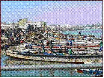 Guet Ndar, les nombreuses pirogues
