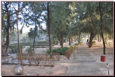 Jardins de l'htel
