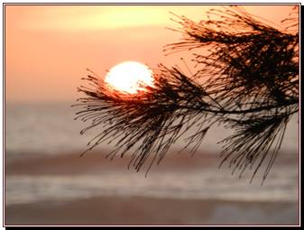 Coucher de soleil sur la langue de Barbarie