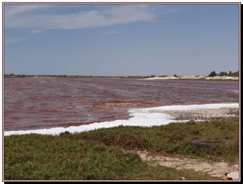 Le lac rose