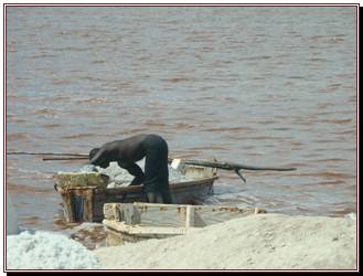 Homme qui ramasse le sel au fond du lac
