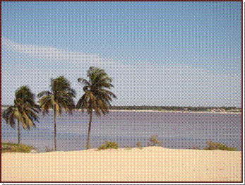 Vue panoramique sur la dune et le lac