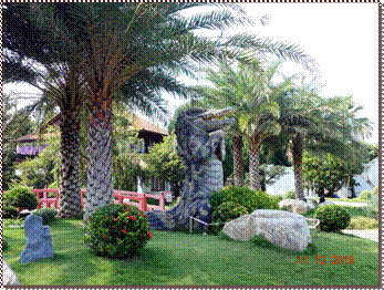 DSC00694