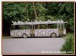 zoo de dvur kralove