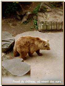 Les douves, le repaire des ours