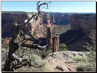 Spider Rock Overlook